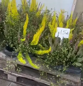 Jesień w TEWAR — kadr z filmu TEWAR